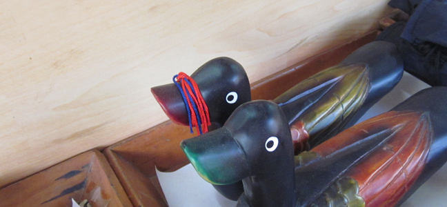 ����Ǯ��